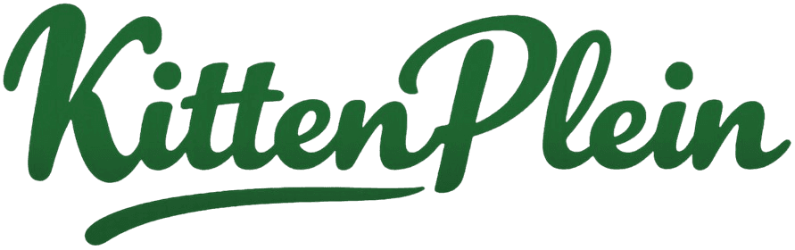 KittenPlein